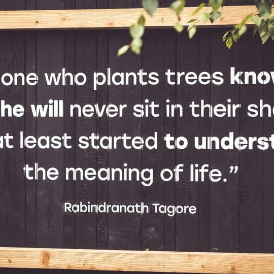 The Future of Work Will Be Measured by Impact